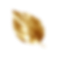 imagem folha - efect